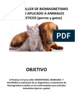 Manual Perros y Gatos 1