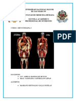 Dietoterapia Dieta Hipocalórica