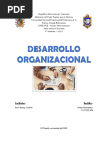 Desarrollo Org