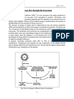 Energy Flow Through The Ecosystem