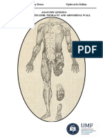 Anatomy Quizzes - Upper Limb, Lower Limb, Thoracic and Abdominal Wall