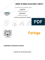 Apunte de Faringe