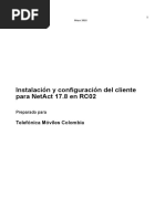 Instalación Y Configuración Del Cliente para Netact 17.8 en Rc02