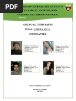 PDF Documento