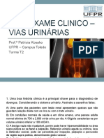 Exame Clinico - Vias Urinárias