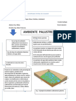 Ambiente Palustre