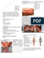 Burns Toxicology