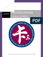 Microeconomía: Teoría de La Empresa