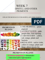 Chlorophyll and Other Pigments: Week 7