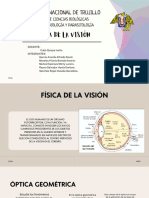 Física de La Visión