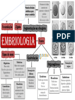 Mapa Mental Embriologia EE