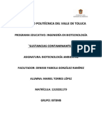 Actividad Bio Ambiental Sustancias Contaminantes Mariel Torres López