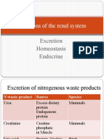 Functions of The Renal System