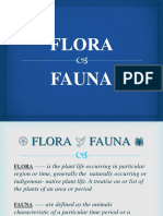 Flora 161015020600