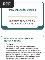 2.1 Lesiones Element Ales de Cavidad Bucal