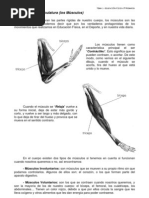 TEMA 1 - CUADERNO ALUMNO 5º (Parte 2)