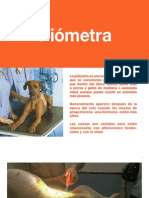 11 Piómetra