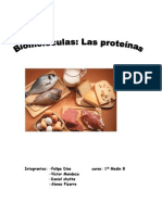 Trabajo Proteinas