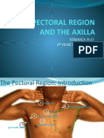 6.the Pectoral Region and The Axilla