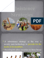 Subsistence Strategies