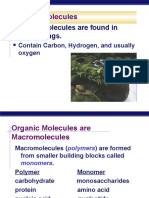 Organic Molecules Are Found in Living Things