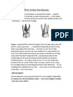 Maxillary First Molar Deciduous