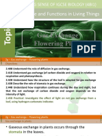 Unit 2 - 2g Gas Exchange in Plants and Gas Exchange in Humans
