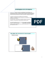 Bases Neurobiologiques de La Récompense (L3)