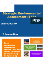 Strategic Environmental Assessment (SEA)