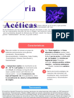 Bacterias Aceticas