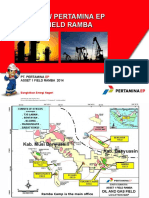 Overview Pertamina Ep Asset 1 Field Ramba