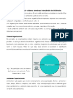 Ambiente Organizacional - Sistema Aberto Ao Intercâmbio de Influências