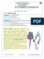 Guía 11º Física ULTIMA SEMANA TERCER PERIODO - CUARTO PERIOD 2021 Alidaa