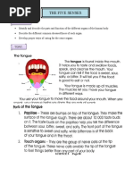 Lesson 2 Science 3 Five Senses CONTINUATION