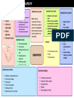 Modelo Canvas Desarrollo de Producto