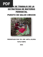 Plan de Trabajo Materno Perinatal