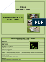 Enfermedades Parasitarias de Ovejas y Cabras