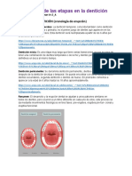 Etapas de La Dentición