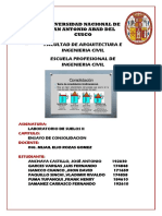 Informe Consolidacion Unidimensional