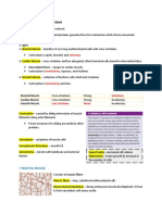 Chapter 10: Muscle Tissue: Voluntary