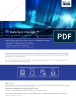 Data Sync Manager™: Fast, Powerful SAP Data Copying at Your Service