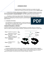 TP L - Adsorption