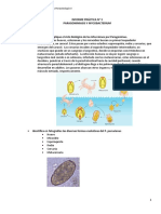 Informe Práctica Nº3 MP II