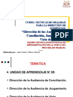 Direccion de Audiencias de Conciliacion, Juzgamiento y Vista de La Causa