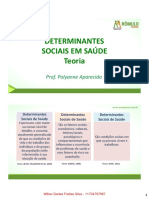 2 Determinantes Sociais Da Saúde