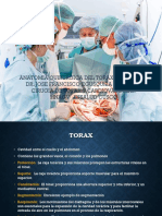 Anatomia Quirurgica Toracica y Pulmonar 1