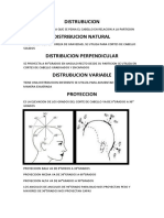 Teoria de Corte de Cabello 2 Parte