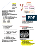 Guia Hidronefrosis