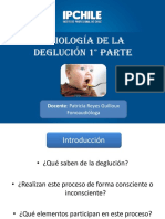 Fisiología, Etapas, Tipos