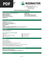 PDF Documento